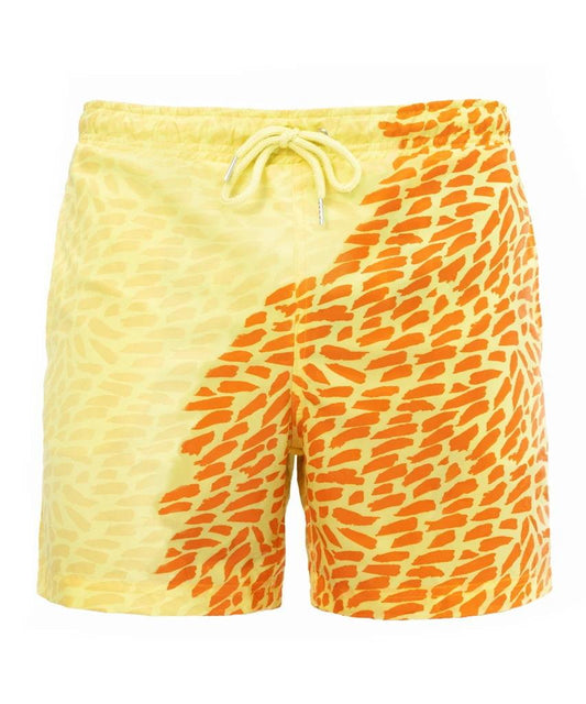 Custom Logo Men's Color-Changing Sublimation Board Shorts